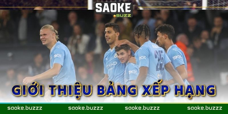 Bảng xếp hạng cập nhật chi tiết thứ hạng, hiệu suất của từng đội bóng