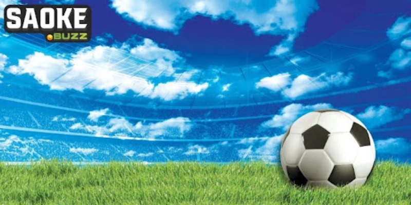 Cách dùng hiệu quả của tip cược Cách dùng hiệu quả của tip cược