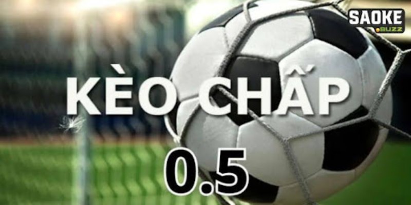 Tổng hợp những kinh nghiệm cá độ chấp nửa trong thực tế hiện nay Tổng hợp những kinh nghiệm cá độ chấp nửa trong thực tế hiện nay