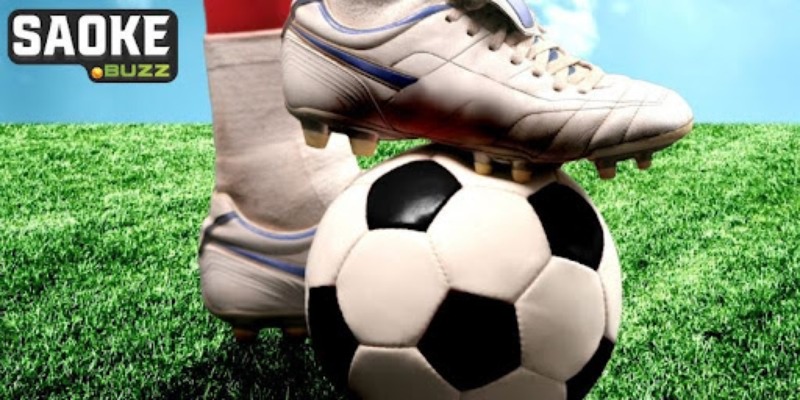 Kinh nghiệm tất yếu cần biết khi cược Kinh nghiệm tất yếu cần biết khi cược