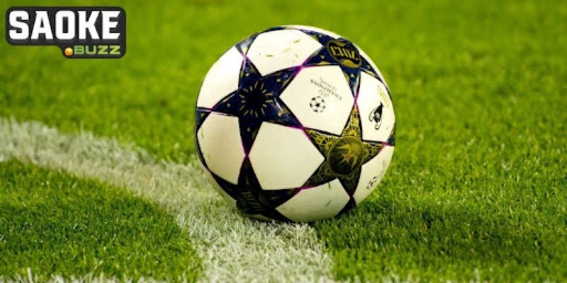 Lưu ý cần biết khi dùng tip bóng đá