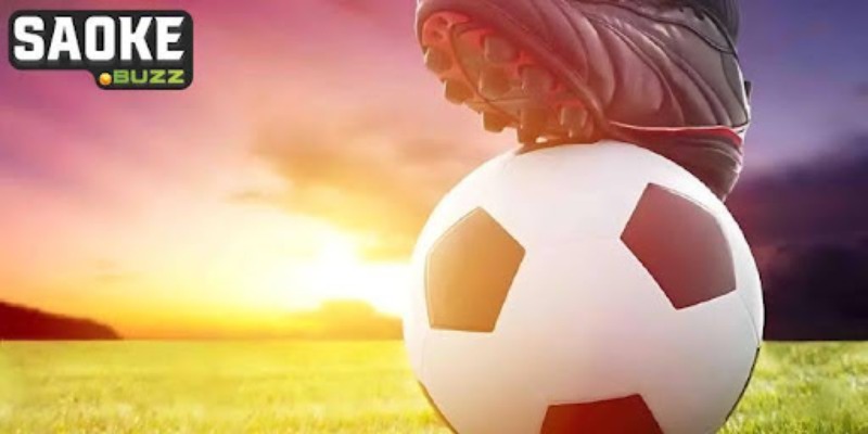 Lý do nào mà tip lại quan trọng Lý do nào mà tip lại quan trọng