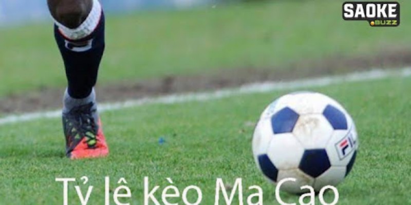 Giải thích về ưu điểm của dạng cược Ma Cao 2 trong 1 Giải thích về ưu điểm của dạng cược Ma Cao 2 trong 1