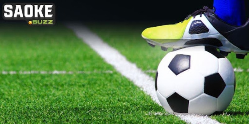 Vài lưu ý cần biết khi tham gia cược Vài lưu ý cần biết khi tham gia cược